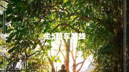坐5路車路線