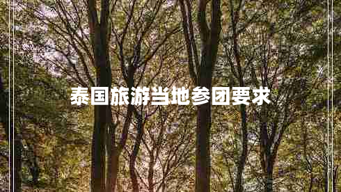 泰國旅游當地參團要求