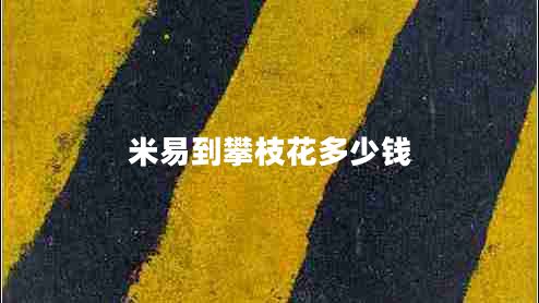 米易到攀枝花多少錢