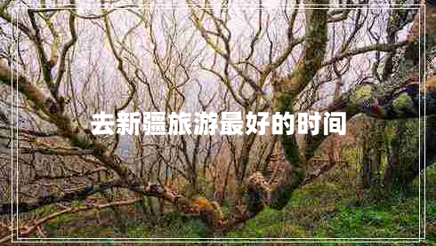 去新疆旅游最好的時(shí)間