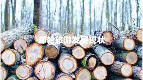 郵輪旅游發(fā)展現(xiàn)狀