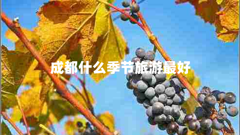 成都什么季節旅游最好