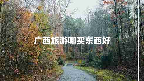 廣西旅游哪買(mǎi)東西好