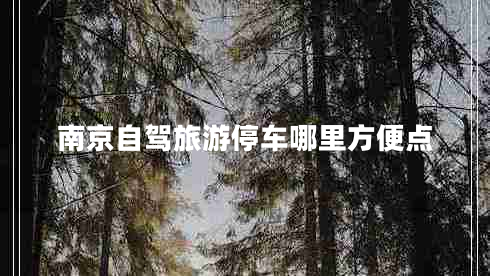 南京自駕旅游停車哪里方便點