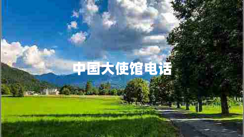 中國大使館電話(huà)