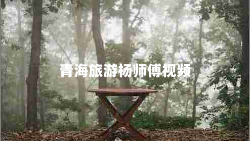 青海旅游楊師傅視頻