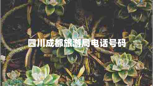 四川成都旅游局電話(huà)號碼