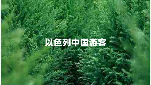 以色列中國游客