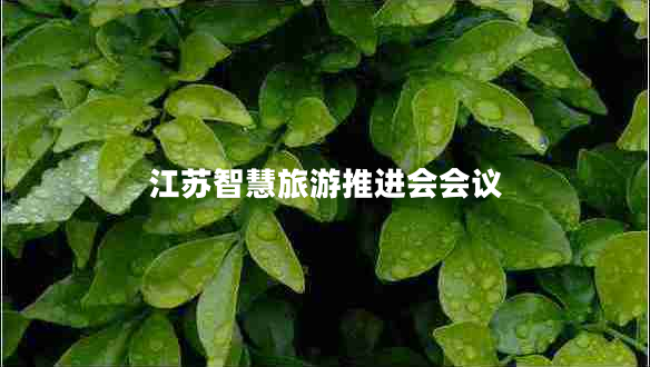 江蘇智慧旅游推進(jìn)會會議