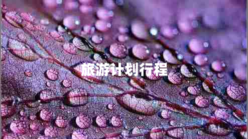 旅游計劃行程
