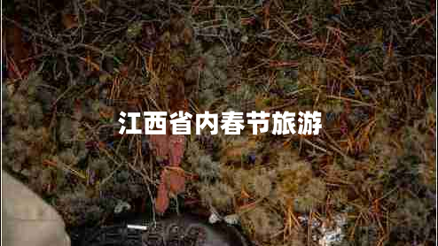 江西省內春節旅游
