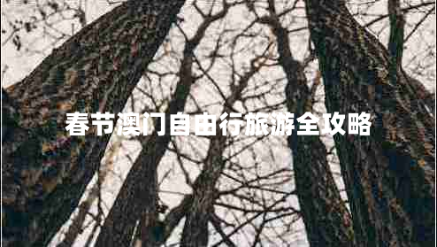 春節(jié)澳門自由行旅游全攻略