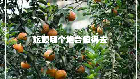 旅順哪個炮臺值得去