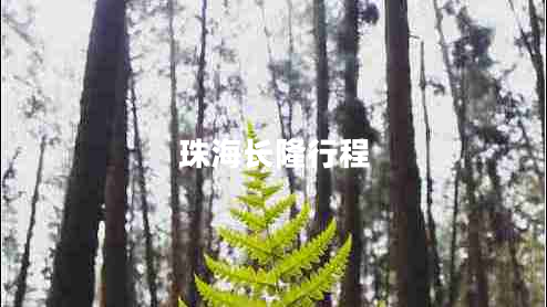 珠海長隆行程