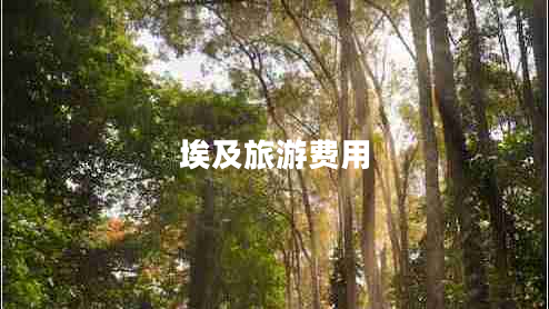 埃及旅游費用