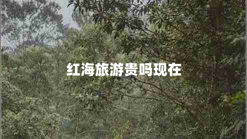 紅海旅游貴嗎現(xiàn)在