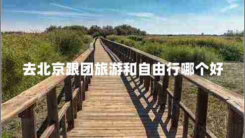 去北京跟團(tuán)旅游和自由行哪個(gè)好