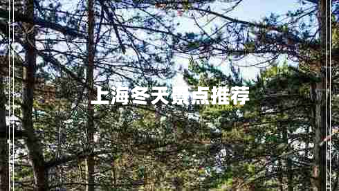 上海冬天景點推薦