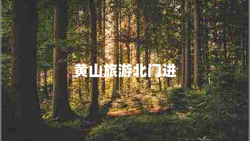 黃山旅游北門進(jìn)
