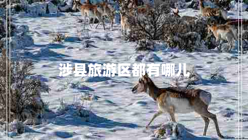 涉縣旅游區(qū)都有哪兒