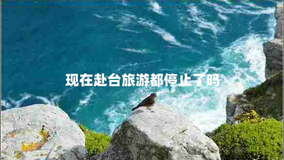 現在赴臺旅游都停止了嗎
