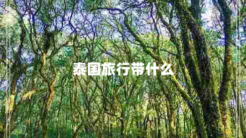 泰國旅行帶什么