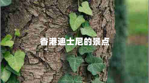 香港迪士尼的景點(diǎn)