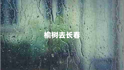 榆樹去長春