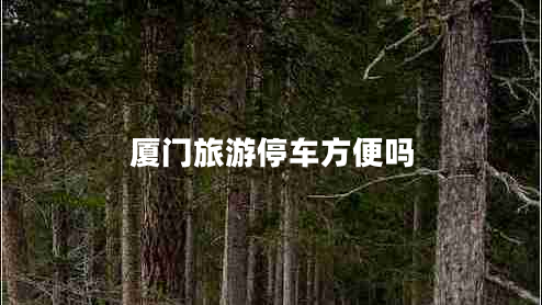 廈門旅游停車方便嗎