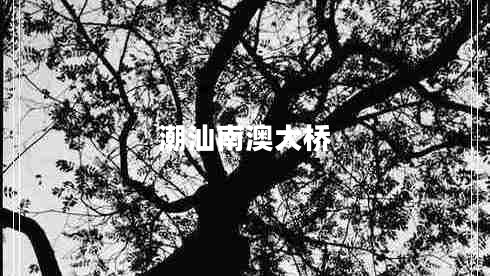 潮汕南澳大橋