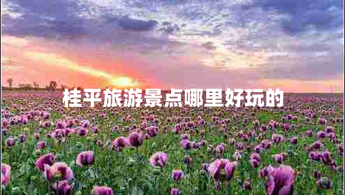 桂平旅游景點哪里好玩的