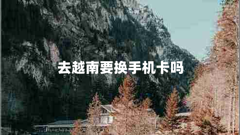 去越南要換手機卡嗎