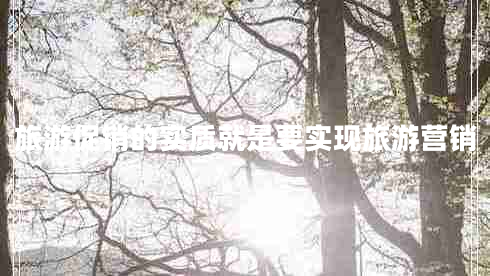 旅游促銷的實(shí)質(zhì)就是要實(shí)現(xiàn)旅游營銷