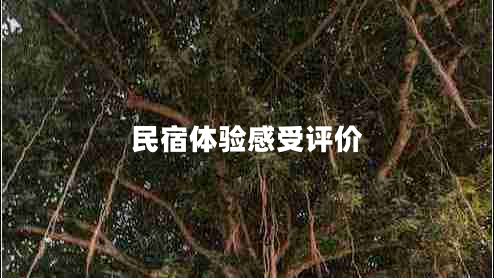 民宿體驗感受評價