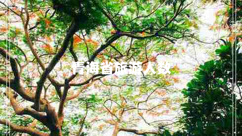 青海省旅游人數(shù)