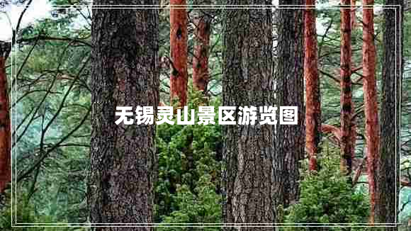 無錫靈山景區(qū)游覽圖