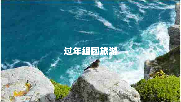 過年組團(tuán)旅游
