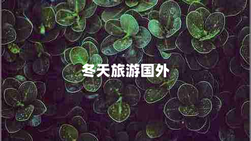 冬天旅游國(guó)外