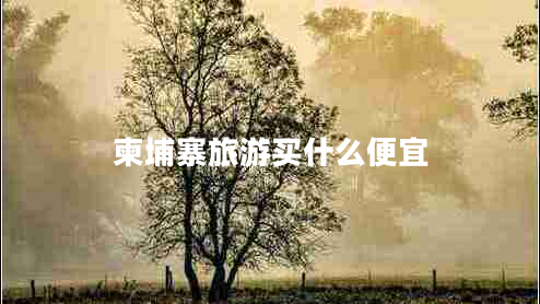 柬埔寨旅游買(mǎi)什么便宜