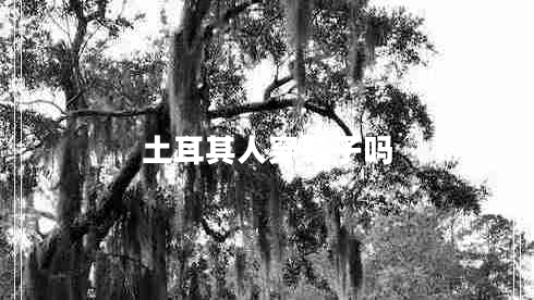土耳其人穿鞋子嗎