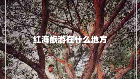 紅海旅游在什么地方