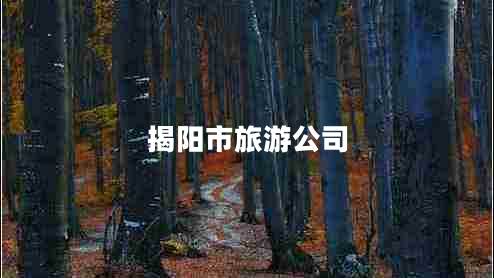 揭陽(yáng)市旅游公司