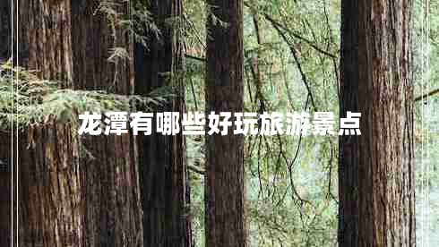龍?zhí)队心男┖猛媛糜尉包c