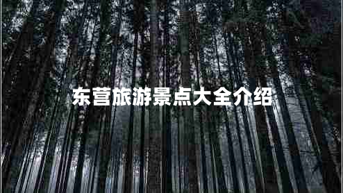 東營(yíng)旅游景點(diǎn)大全介紹