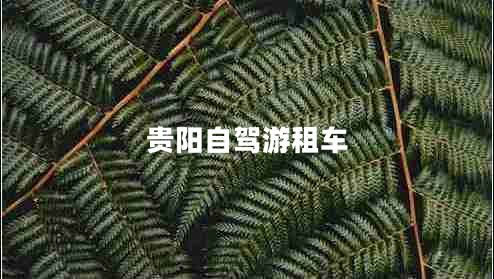 貴陽(yáng)自駕游租車(chē)