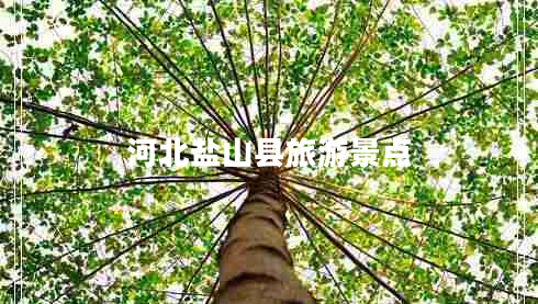 河北鹽山縣旅游景點