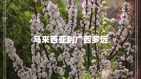 馬來(lái)西亞到廣西多遠