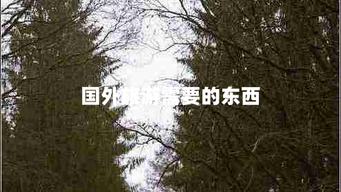 國外旅游需要的東西