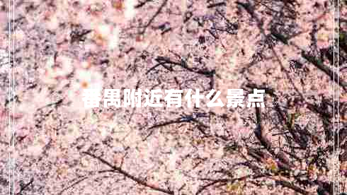 番禺附近有什么景點(diǎn)