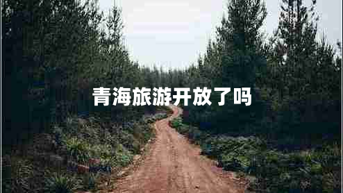 青海旅游開放了嗎